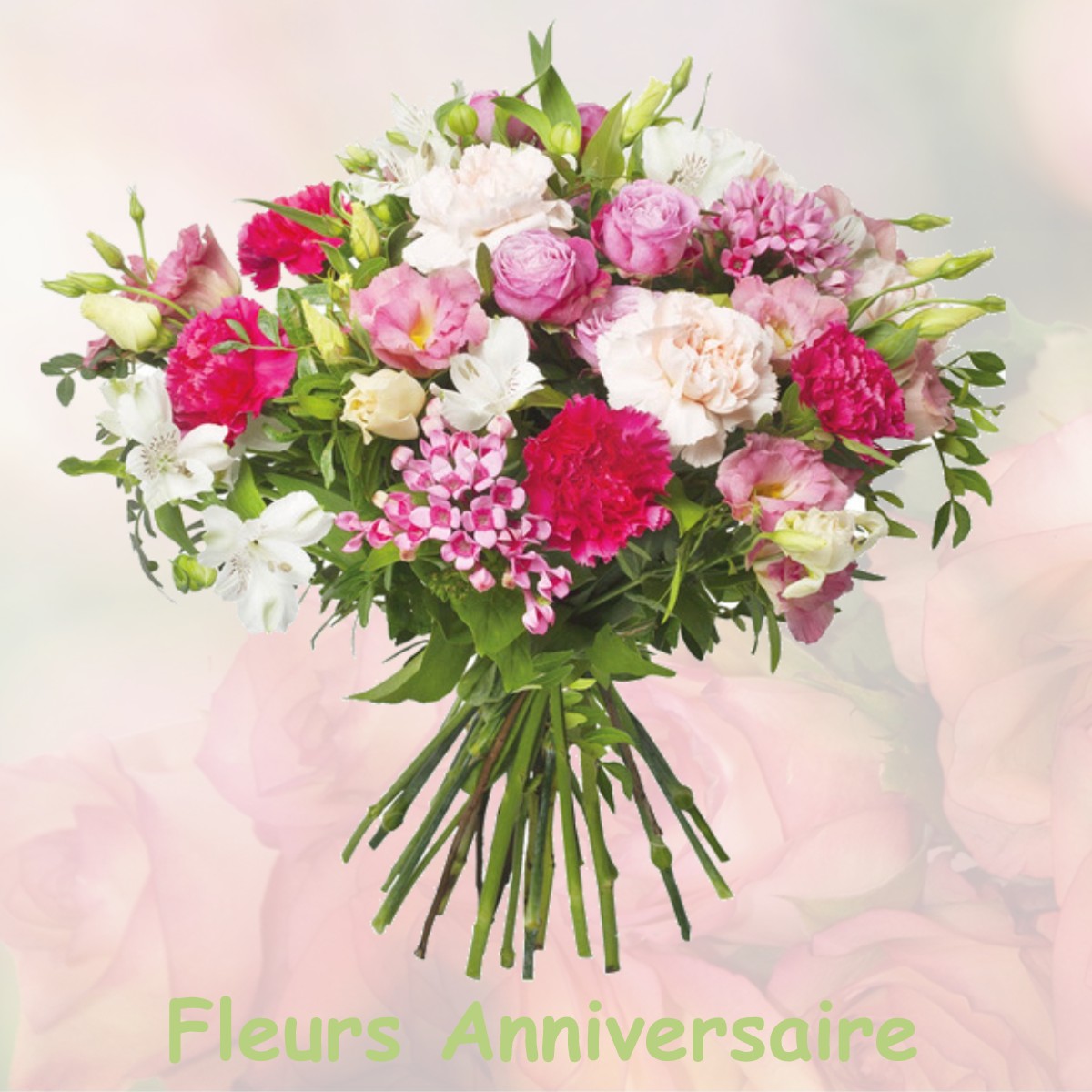 fleurs anniversaire MISEREY-SALINES